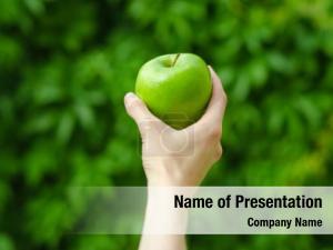 Green Apple In Hand PowerPoint Template