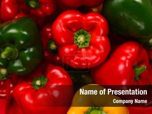 Paprika PowerPoint Template