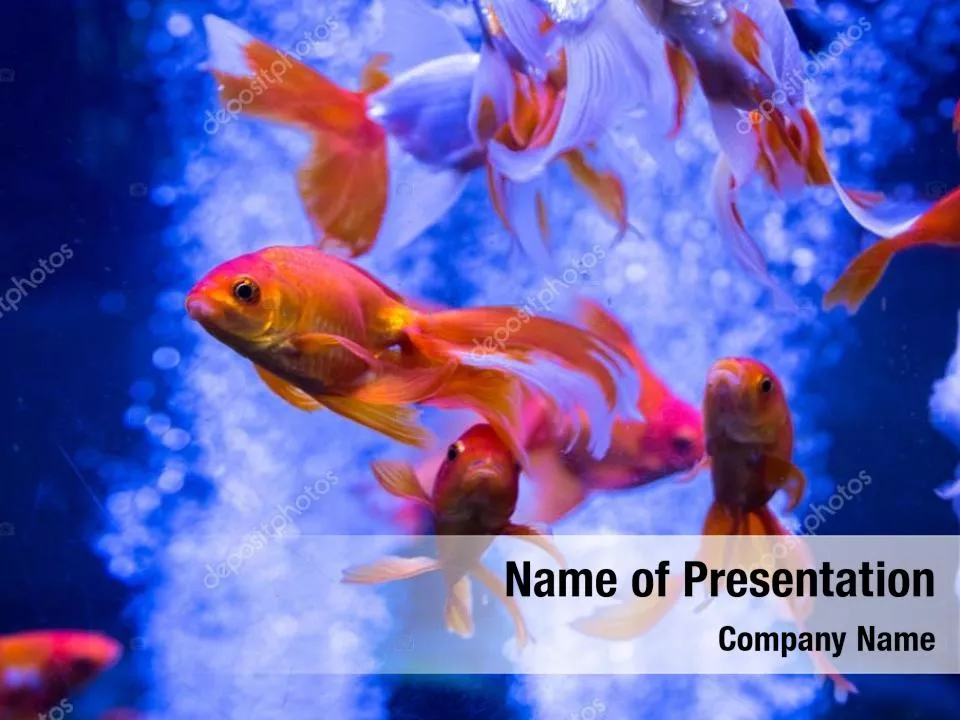 Fish Theme Background