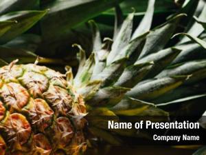 Pineapple PowerPoint Template