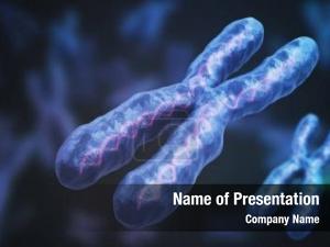 Chromosomes