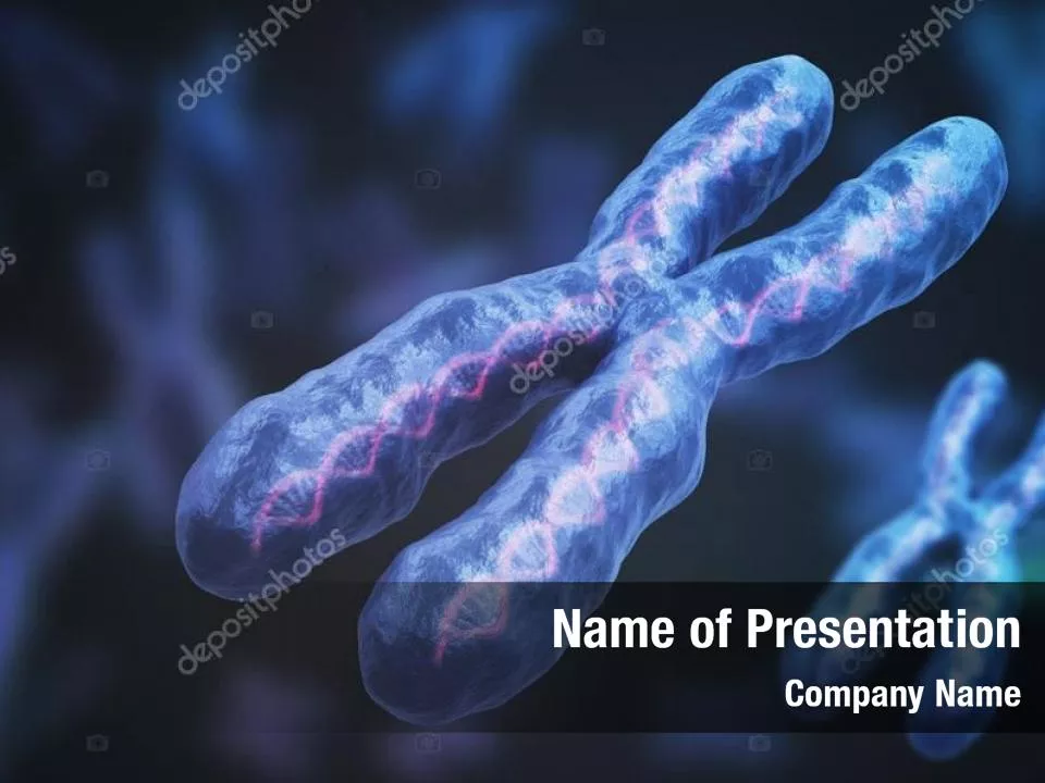 Chromosomes