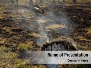Effects of Forest Fire PowerPoint Template