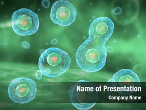 Division digital cell stages mitosis