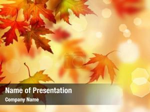 Autumn Maple Leaves PowerPoint Template