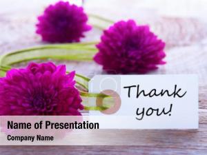 Flower Decoration Services PowerPoint Template