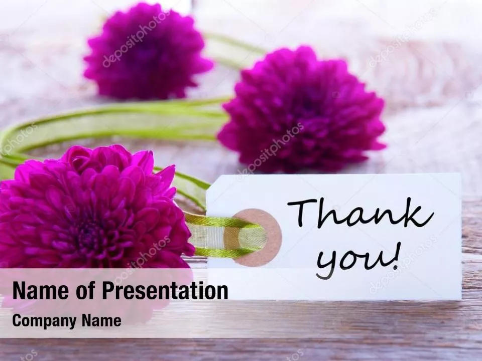 Flower Decoration Services