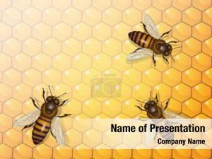Beehive and Bees Illustration