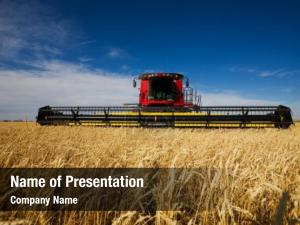 Harvester in the Field PowerPoint Template