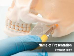 Temporomandibular Joint PowerPoint Template