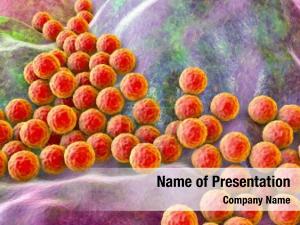 Staphylococcus Infection PowerPoint Template