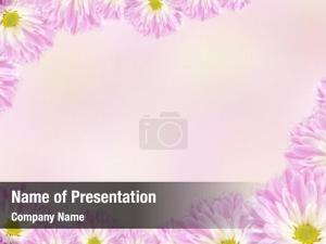 Cute Flowers Frame
