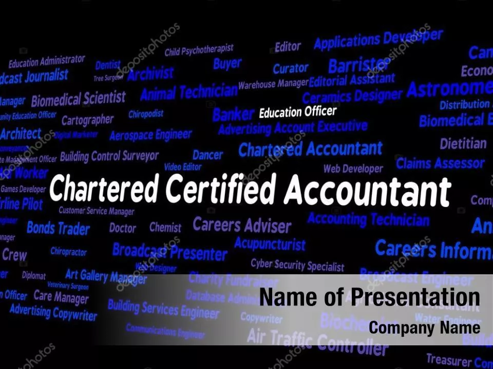Chartered Accountant