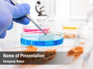 Assay cell culture test genetically PowerPoint Template