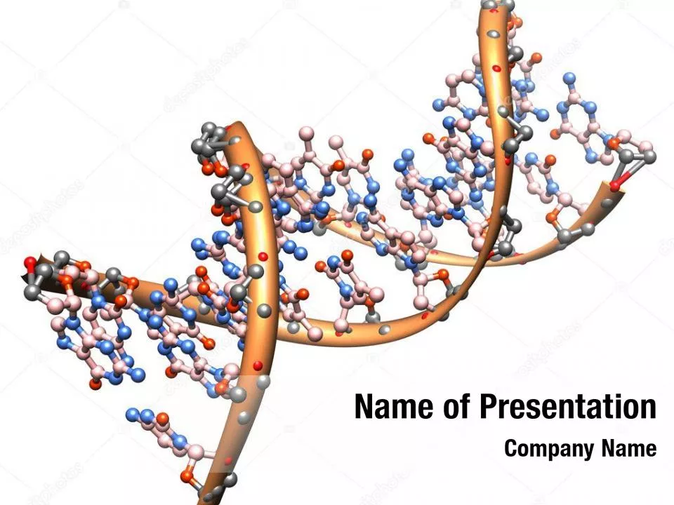 DNA Molecular Structure