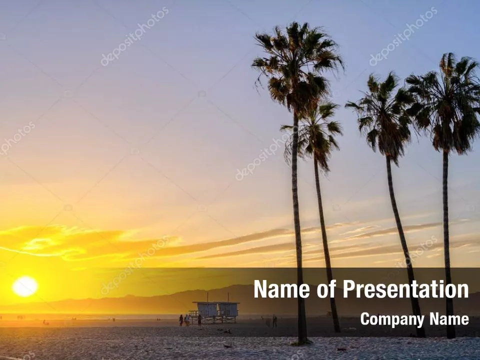Palm Trees at the Seaside