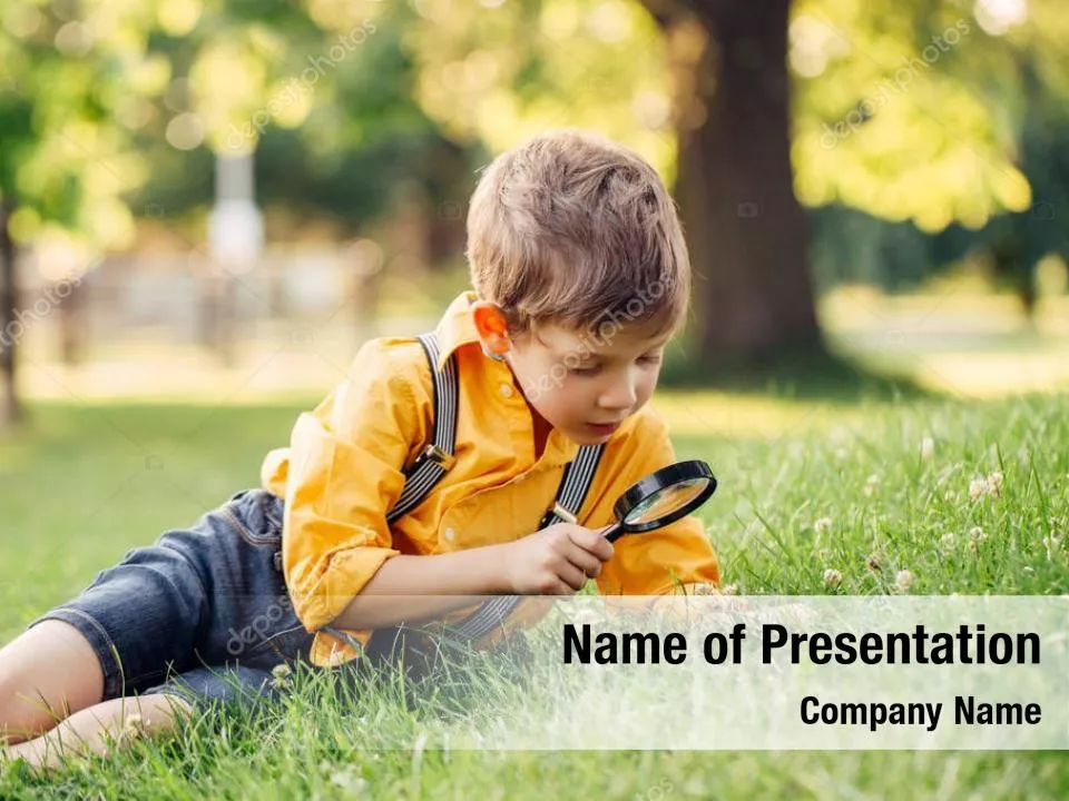 Nature Investigation