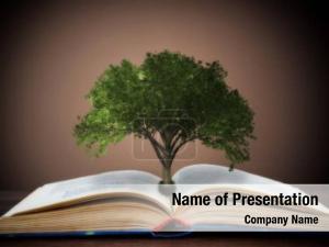 Education Tree