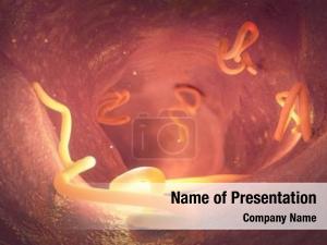 Intestinal Parasites PowerPoint Template