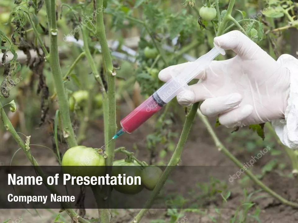 Genetically Modified Foods