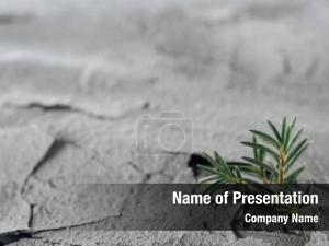 New Life Concept PowerPoint Template