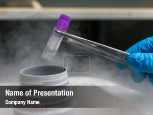 Cryopreservation PowerPoint Template