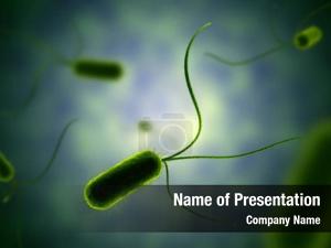 Germ