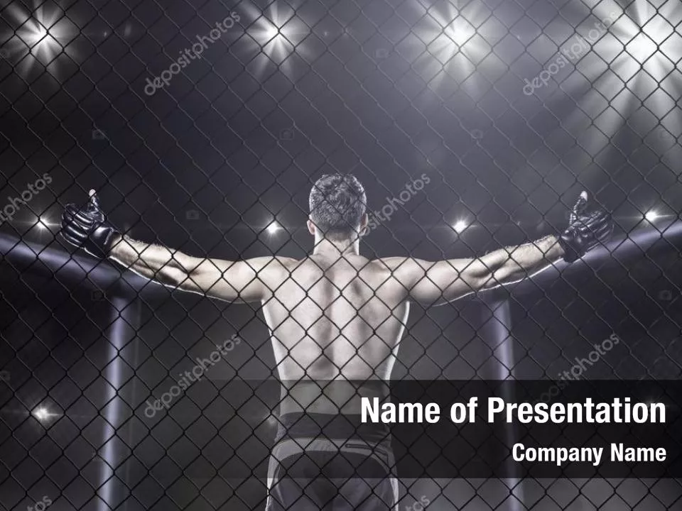 Professional Fighter