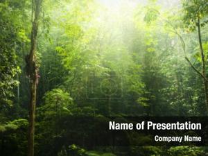 Jungles PowerPoint Template