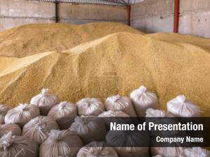 Heap of Grain PowerPoint Template
