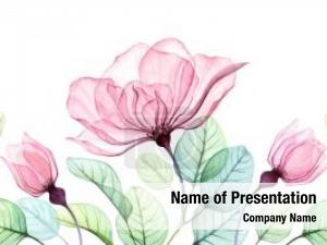 Abstract Floral PowerPoint Template