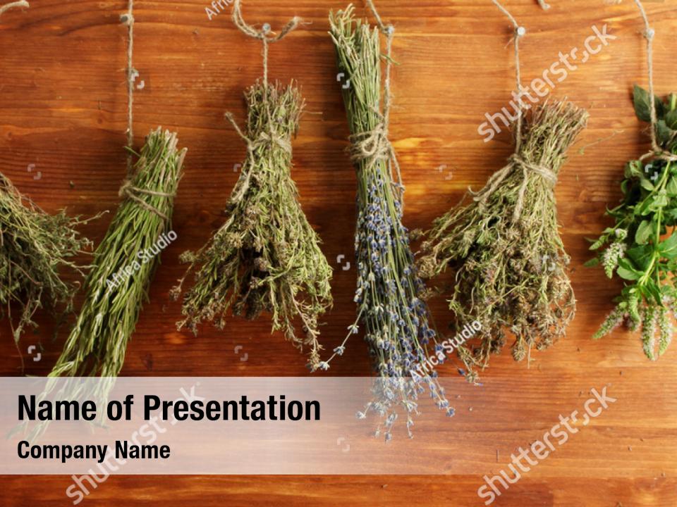 wooden-dried-herbs-powerpoint-template-wooden-dried-herbs-powerpoint