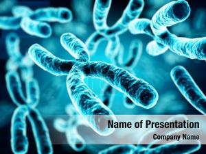 Chromosome