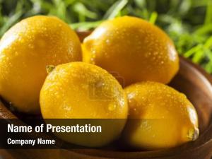Yellow Citrus PowerPoint Template