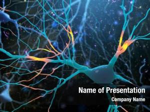 Nerve illustration human cells structure