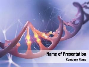 Sequence decoding genome  