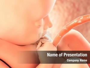 Medical human fetus concept graphic