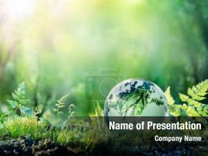 Forest globe moss environmental concept PowerPoint Template