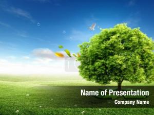  PowerPoint Template