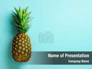  PowerPoint Template