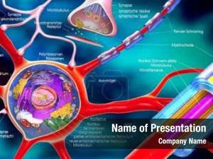 Cell building colorful neuron german descriptions