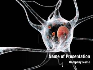 Containing showing neurons lewy bodies