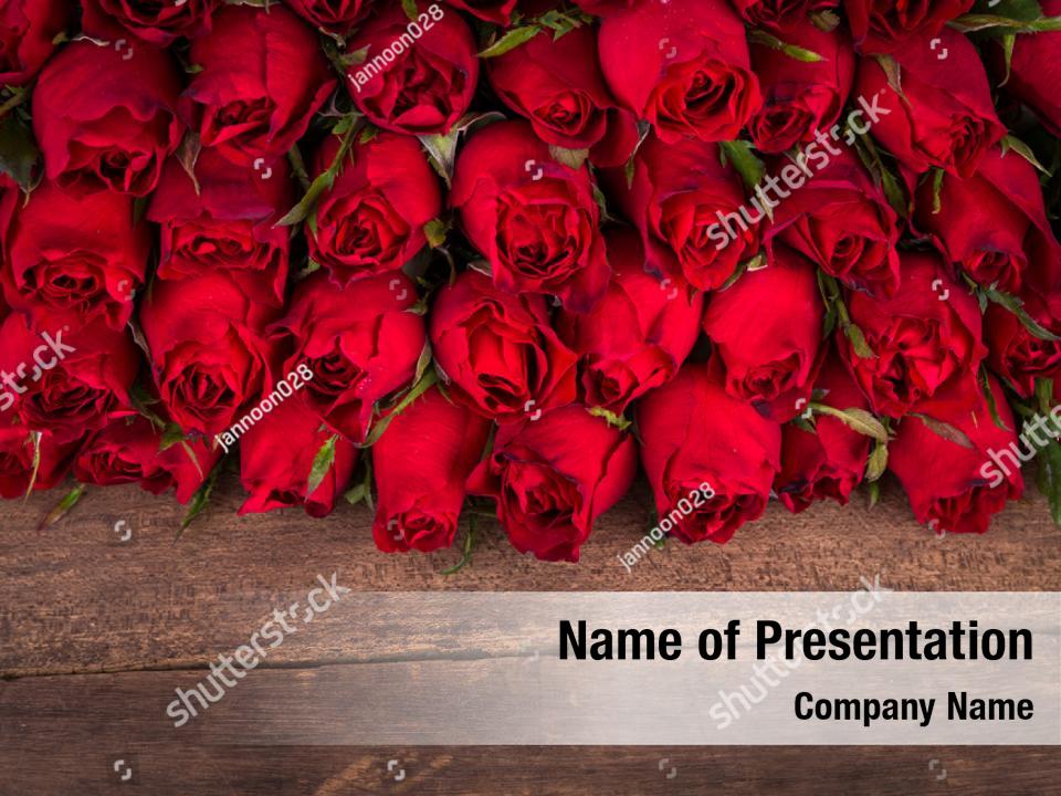 Rose on wooden PowerPoint Template - Rose on wooden PowerPoint Background