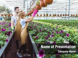 Gloves couple gardeners working greenhouse