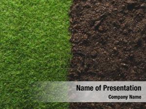 Green top view lawn soil PowerPoint Template