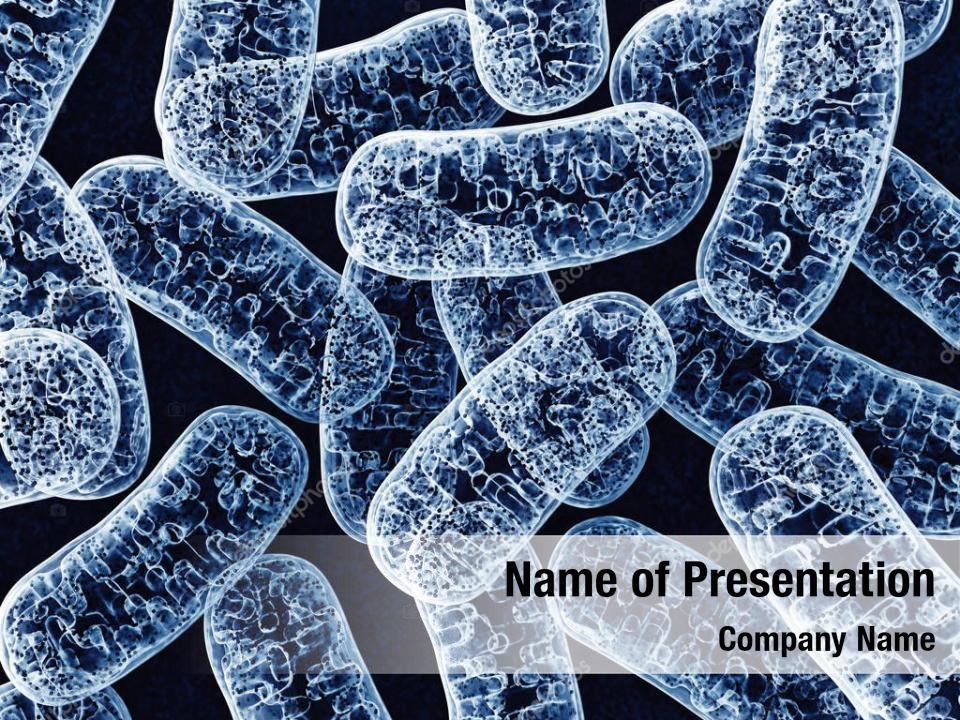 Mitochondrie microbiologie 3d 