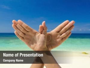  PowerPoint Template