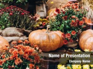 Thanksgiving Day Free PowerPoint Template