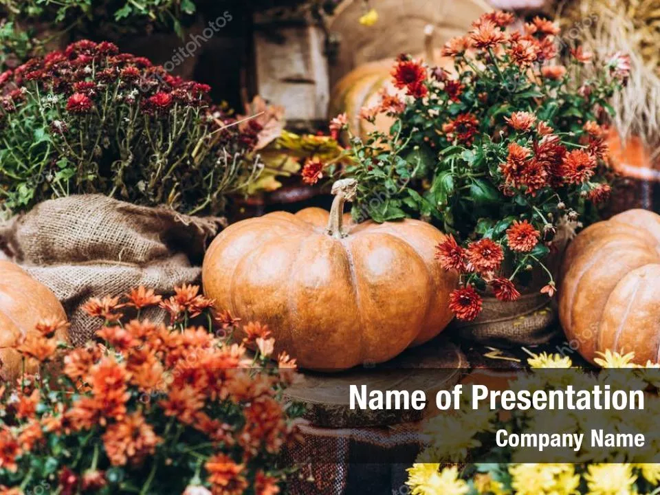 Thanksgiving Day Free