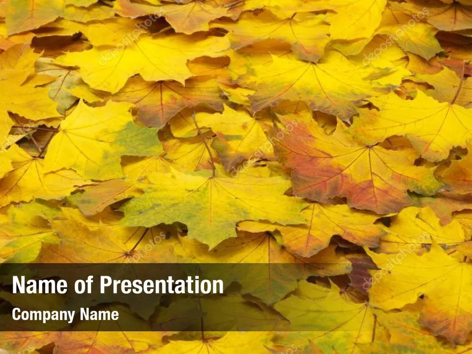 Bunch of Autumn Leaves